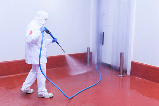 Mentone, CA Pressure Washing Services Company
